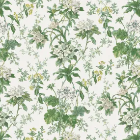 Dallimore Somerhill Green/White/Chartreuse NCF4531-02