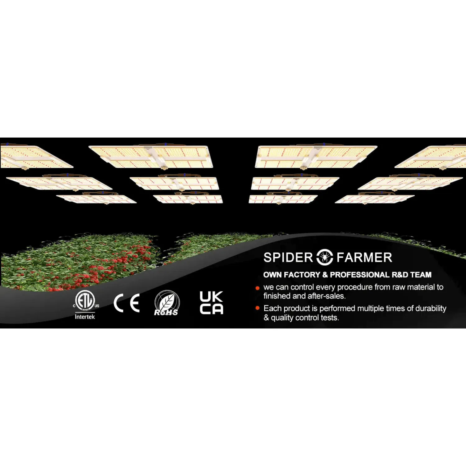 Spider Farmer SF7000 650W Dimmable Full Spectrum LED Grow Light